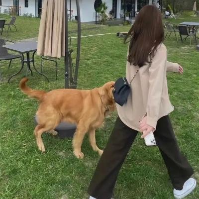 被狙击的学园
